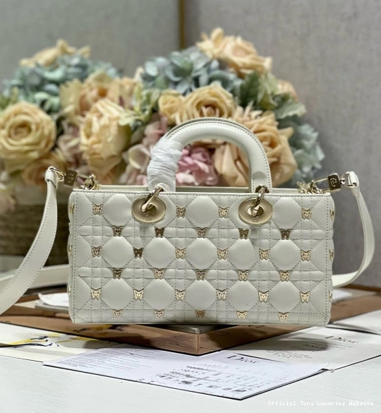 Tony Luxuries D-JOY LADY diro BAG-26*13.5*5CM 0712